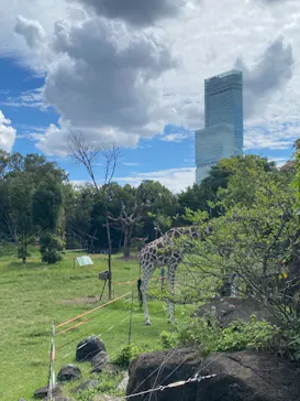 天王寺動物園に投稿された画像（2021/9/20）