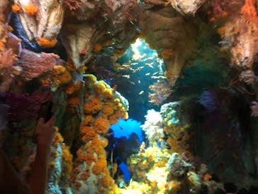 サンシャイン水族館に投稿された画像（2021/9/20）