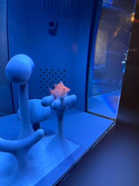 京都水族館に投稿された画像（2021/9/20）