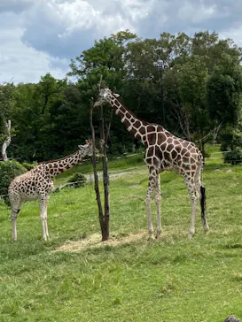 天王寺動物園に投稿された画像（2021/9/20）