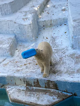 天王寺動物園に投稿された画像（2021/9/20）