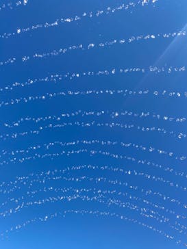 東京サマーランドに投稿された画像（2021/9/20）