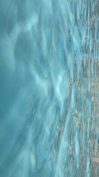 東京サマーランドに投稿された画像（2021/9/20）