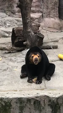 天王寺動物園に投稿された画像（2021/9/20）