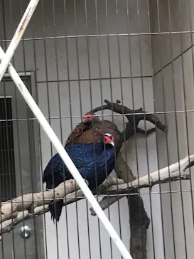 天王寺動物園に投稿された画像（2021/9/20）