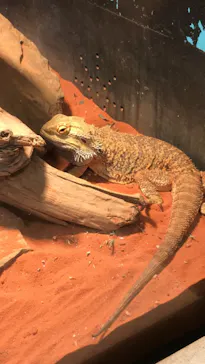 天王寺動物園に投稿された画像（2021/9/20）