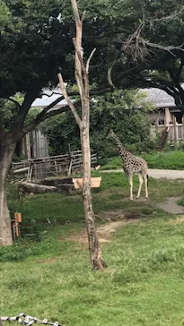 天王寺動物園に投稿された画像（2021/9/20）