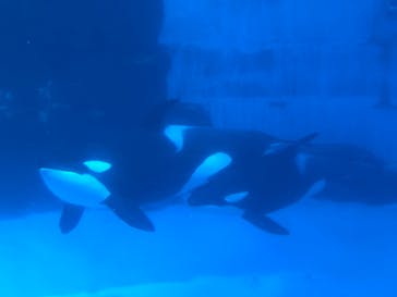 名古屋港水族館に投稿された画像（2021/9/20）