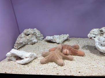 サンシャイン水族館に投稿された画像（2021/9/20）