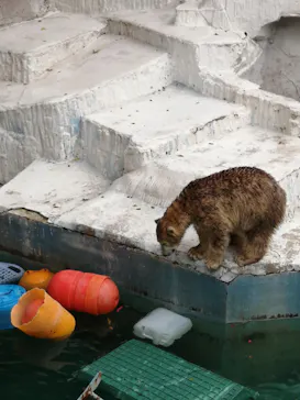 天王寺動物園に投稿された画像（2021/9/20）