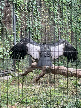 天王寺動物園に投稿された画像（2021/9/20）