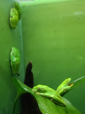 サンシャイン水族館に投稿された画像（2021/9/20）