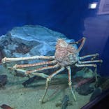 名古屋港水族館に投稿された画像（2021/9/20）