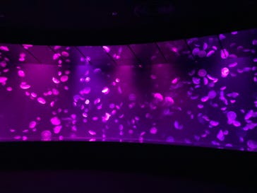 サンシャイン水族館に投稿された画像（2021/9/20）