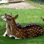 神戸どうぶつ王国に投稿された画像（2021/9/20）