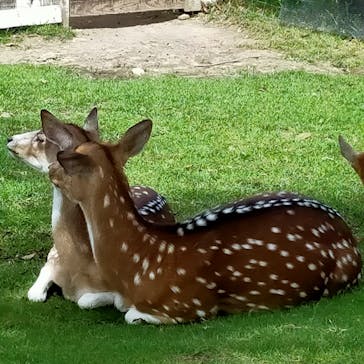 神戸どうぶつ王国に投稿された画像（2021/9/20）