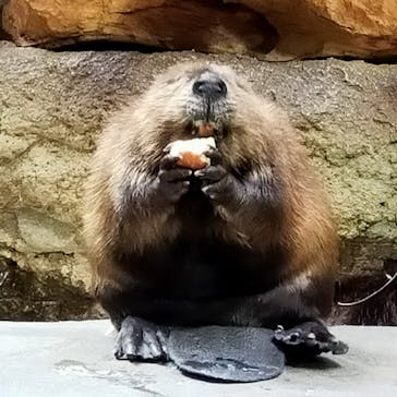 神戸どうぶつ王国に投稿された画像（2021/9/20）