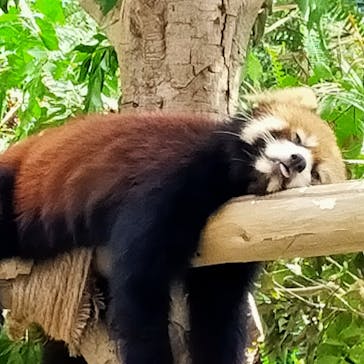 神戸どうぶつ王国に投稿された画像（2021/9/20）