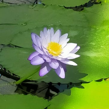 神戸どうぶつ王国に投稿された画像（2021/9/20）