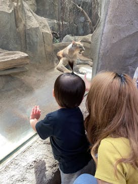 神戸どうぶつ王国に投稿された画像（2021/9/20）