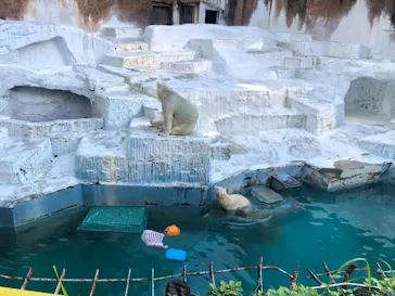 天王寺動物園に投稿された画像（2021/9/20）