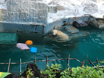 天王寺動物園に投稿された画像（2021/9/20）