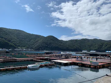 うみたま体験パーク 「つくみイルカ島」に投稿された画像（2021/9/20）