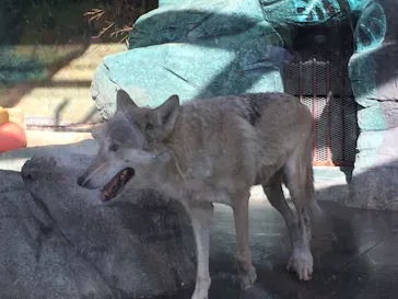 天王寺動物園に投稿された画像（2021/9/20）