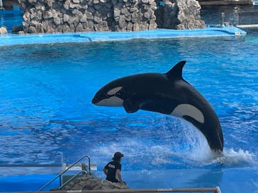 名古屋港水族館に投稿された画像（2021/9/20）