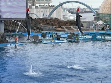 名古屋港水族館に投稿された画像（2021/9/20）