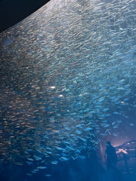 名古屋港水族館に投稿された画像（2021/9/20）