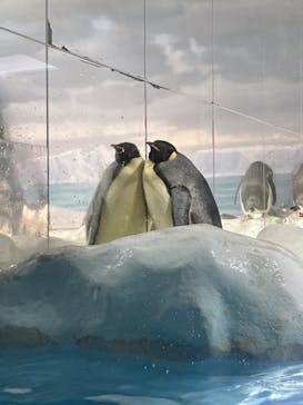 名古屋港水族館に投稿された画像（2021/9/20）