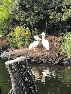 神戸どうぶつ王国に投稿された画像（2021/9/20）