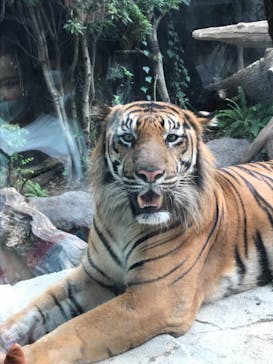 神戸どうぶつ王国に投稿された画像（2021/9/20）