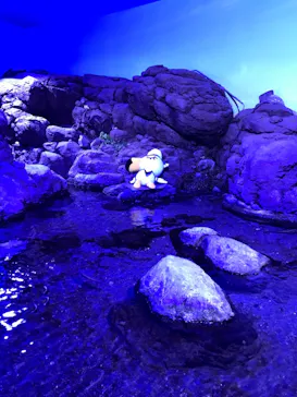 横浜・八景島シーパラダイスに投稿された画像（2021/9/20）