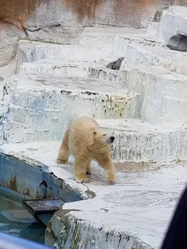 天王寺動物園に投稿された画像（2021/9/20）