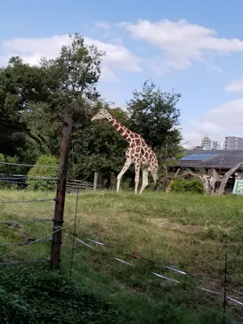 天王寺動物園に投稿された画像（2021/9/20）