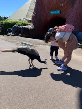 伊豆シャボテン動物公園に投稿された画像（2021/9/20）