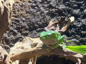 マクセル アクアパーク品川に投稿された画像（2021/9/20）