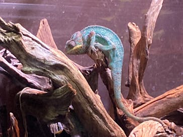 マクセル アクアパーク品川に投稿された画像（2021/9/20）