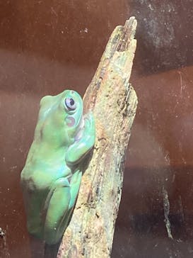 マクセル アクアパーク品川に投稿された画像（2021/9/20）