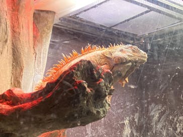 マクセル アクアパーク品川に投稿された画像（2021/9/20）