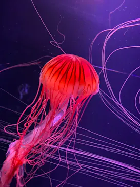 すみだ水族館に投稿された画像（2021/9/20）