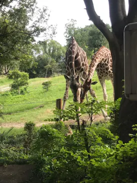 天王寺動物園に投稿された画像（2021/9/20）