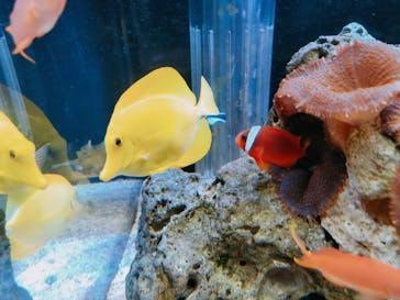 京都水族館に投稿された画像（2021/9/20）