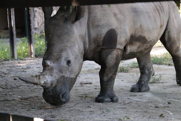 東武動物公園に投稿された画像（2021/9/20）