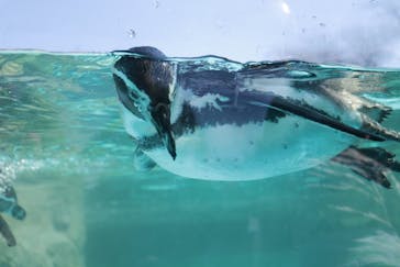 東武動物公園に投稿された画像（2021/9/20）