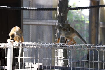 東武動物公園に投稿された画像（2021/9/20）