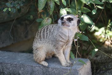 東武動物公園に投稿された画像（2021/9/20）