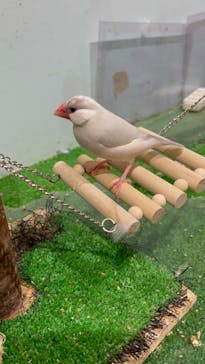 Moff animal cafe MARKIS 福岡ももち店に投稿された画像（2021/9/21）